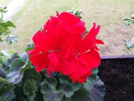 IMG_20160514_183214.jpg