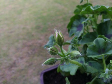 IMG_20160514_183227.jpg