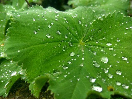 IMG_20160514_111128_HDR.jpg