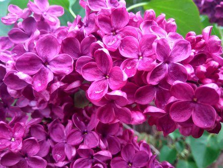 IMG_20160514_110934_HDR.jpg