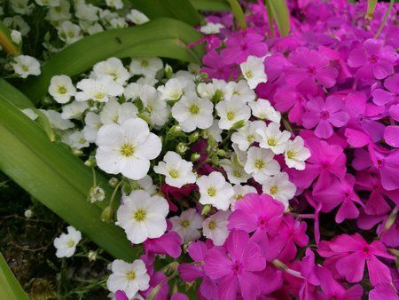 IMG_20160516_083342.jpg