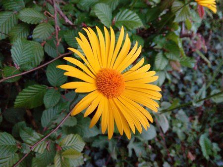 20160516_055408_BEST.jpg