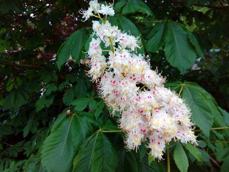 20160517_184134_BEST.jpg
