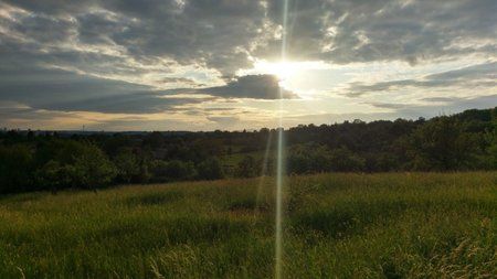 IMG_20160516_225133.jpg