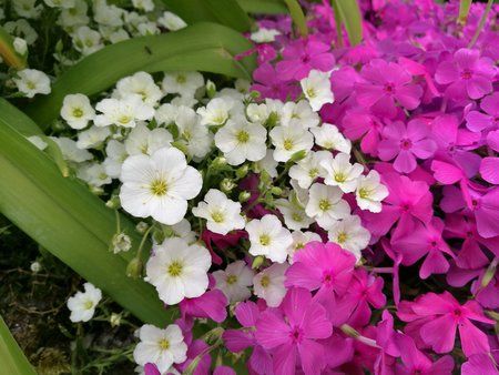 IMG_20160516_083342.jpg