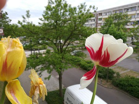 IMG_20160518_182819.jpg