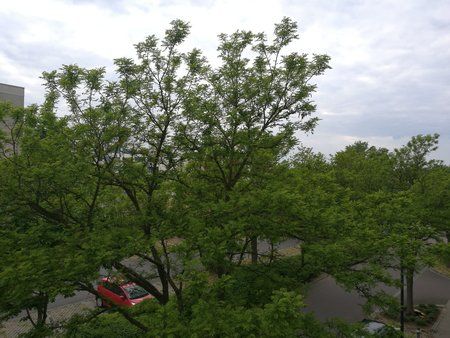 IMG_20160518_182835.jpg