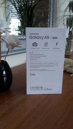 20160430_090420.jpg
