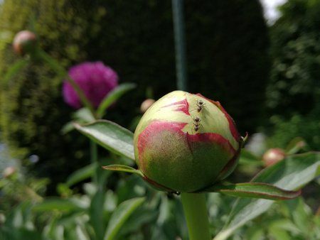 IMG_20160521_132351.jpg