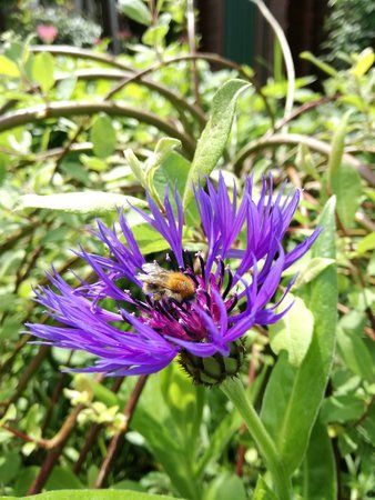 IMG_20160521_125246.jpg