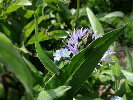 IMG_20160521_132451.jpg