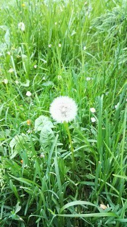 IMG_20160520_202820.jpg