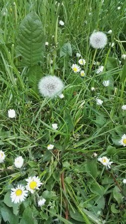 IMG_20160520_203112.jpg