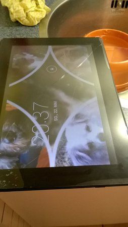 WP_20160522_20_37_14_Pro.jpg