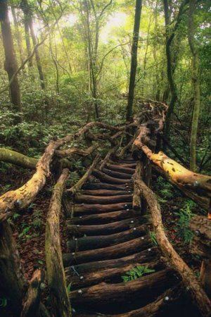 Gemütlicher Wanderweg.jpg