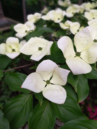 IMG_20160525_184857.jpg