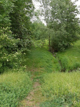 Natur HDR.jpg