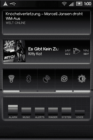 Widget_2.1.png