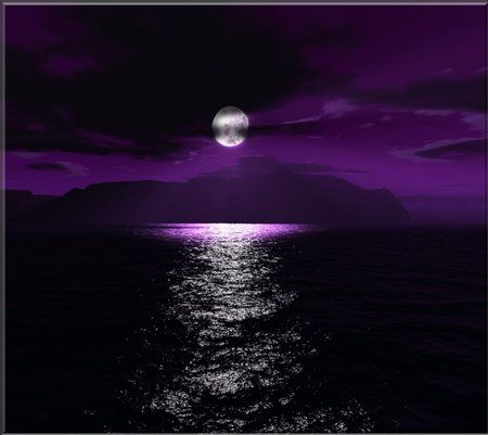 Purple Night_15.jpg