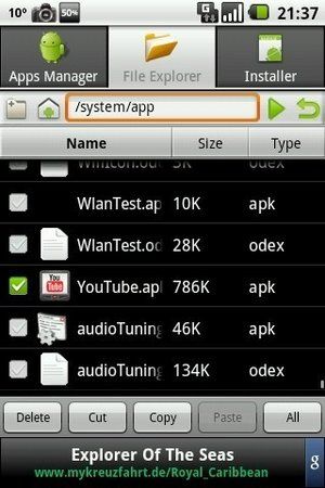 CAP201004022137.jpg
