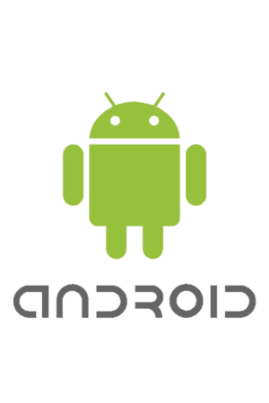logo.png