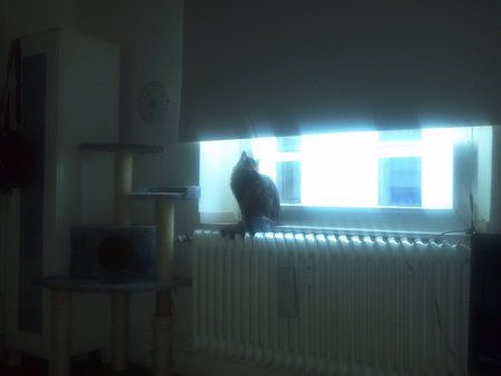 IMG_20111014_083246.jpg