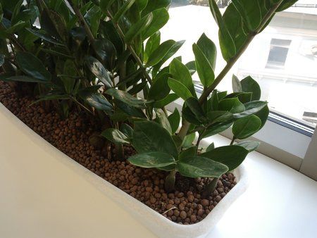 foto01.jpg