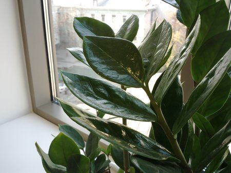 foto02.jpg