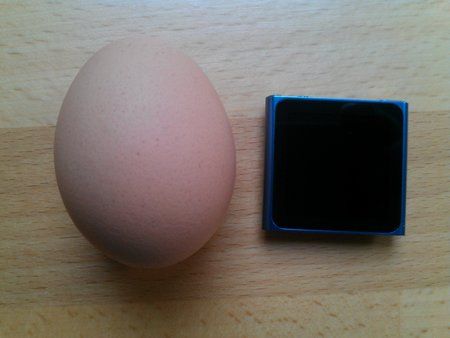 IMG_20111013_112449.jpg