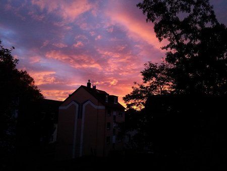20111025_080800.jpg