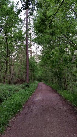 IMG_20160527_201314.jpg