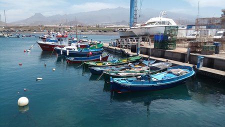 IMG_20160601_125349.jpg