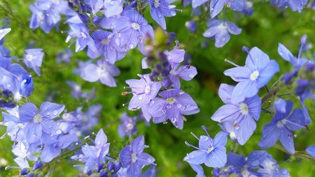 IMG_20160603_125204.jpg