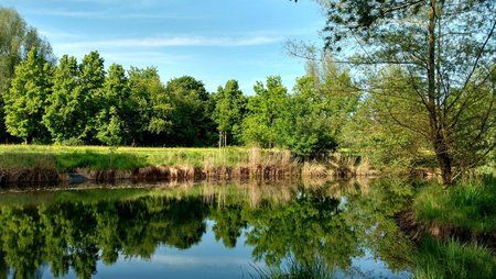 IMG_20160525_180339675_HDR.jpg