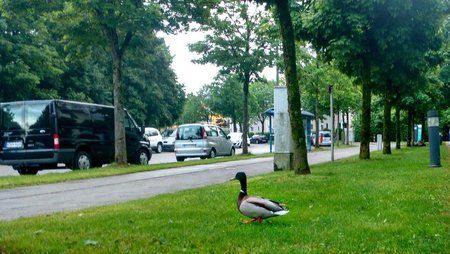 IMG_20160602_193658854_HDR.jpg