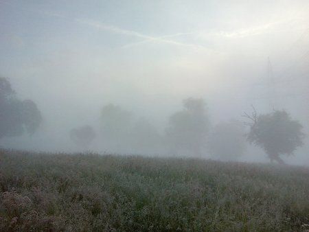 IMG_20160607_053921_1.jpg