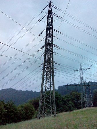 IMG_20160609_052812_1.jpg