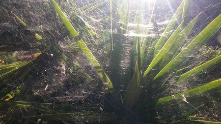20160609_195820.jpg