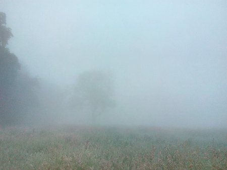 IMG_20160610_051718_1.jpg