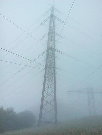IMG_20160610_052922_1.jpg
