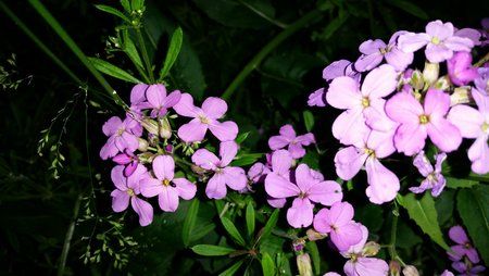 IMG_20160609_210507.jpg