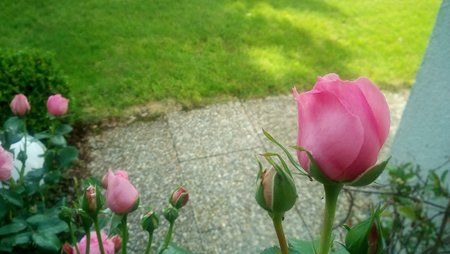 IMG_20160609_174125.jpg IMG_20160609_174125.jpg