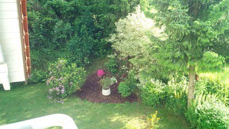 IMG_20160609_175025.jpg IMG_20160609_175025.jpg