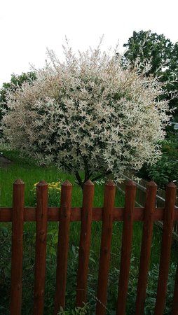 IMG-20160612-WA0026.jpg