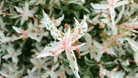 IMG-20160612-WA0025.jpg