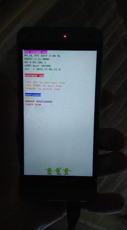 13435508_10209484565901326_2078118735475450421_n.jpg