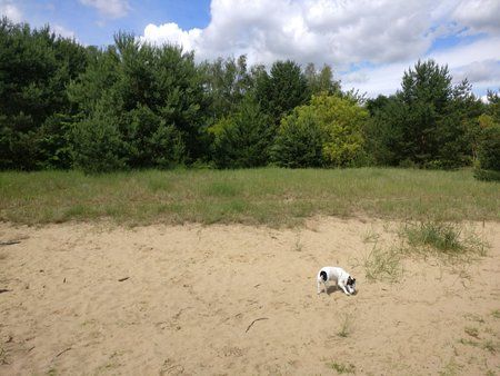 IMG_20160616_112118_014.jpg