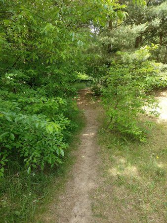 IMG_20160616_112153.jpg