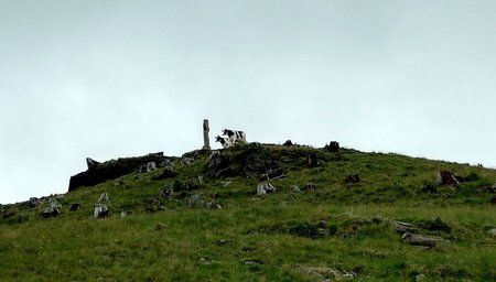 IMG_20160615_140032208_HDR.jpg