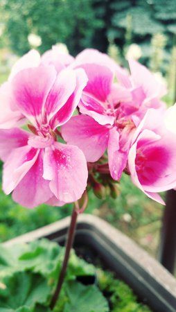 20160619_112548_Film3.jpg
